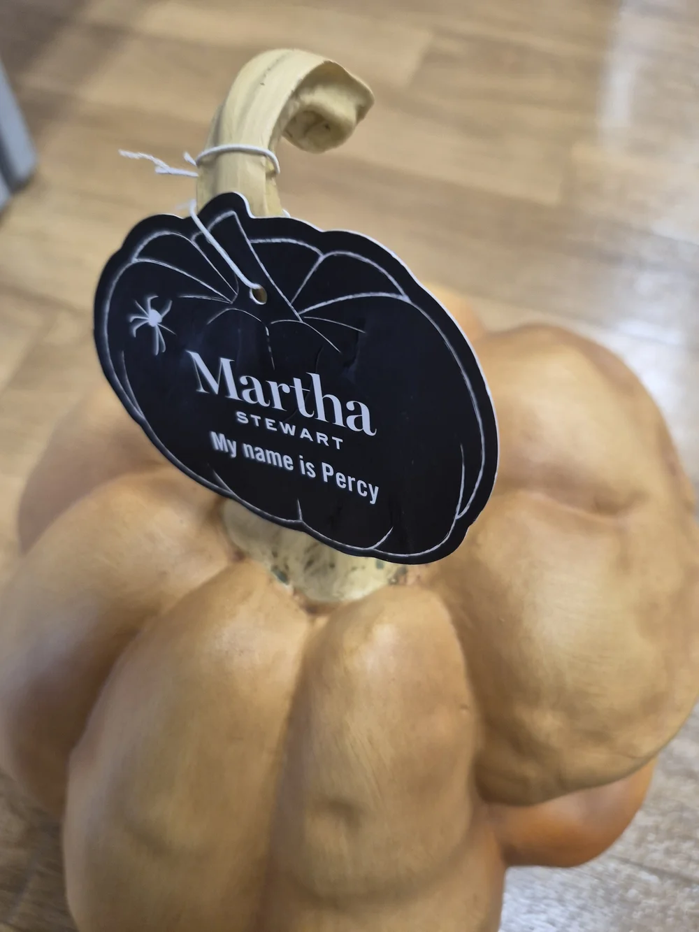 Martha Stewart 